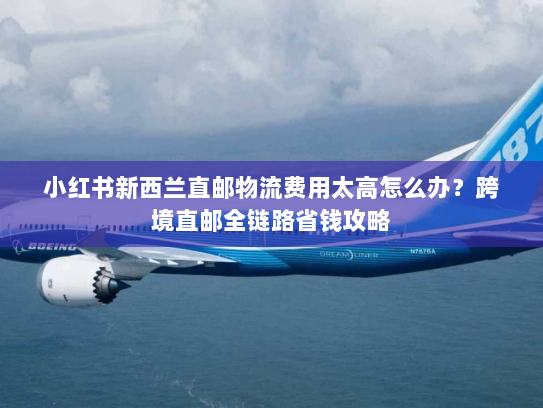 小红书新西兰直邮物流费用太高怎么办?跨境直邮全链路省钱攻略 小红书新西兰直邮物流费用太高怎么办?跨境直邮全链路省钱攻略
