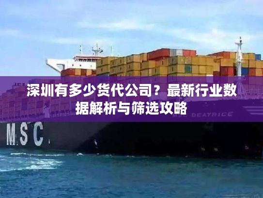 深圳有多少货代公司?最新行业数据解析与筛选攻略 深圳有多少货代公司?最新行业数据解析与筛选攻略