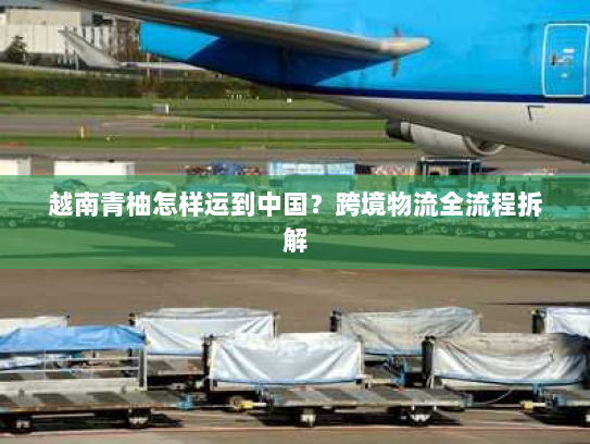 越南青柚怎样运到中国?跨境物流全流程拆解 越南青柚怎样运到中国?跨境物流全流程拆解