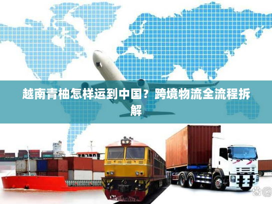 越南青柚怎样运到中国?跨境物流全流程拆解 越南青柚怎样运到中国?跨境物流全流程拆解