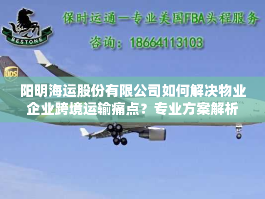 阳明海运股份有限公司如何解决物业企业跨境运输痛点?专业方案解析 阳明海运股份有限公司如何解决物业企业跨境运输痛点?专业方案解析