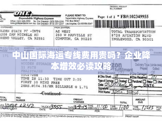 中山国际海运专线费用贵吗？企业降本增效必读攻略