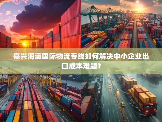 嘉兴海运国际物流专线如何解决中小企业出口成本难题? 嘉兴海运国际物流专线如何解决中小企业出口成本难题?