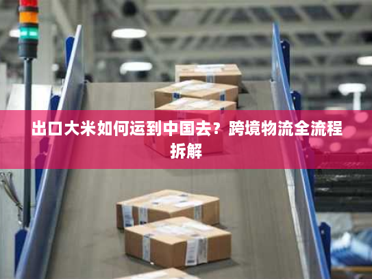 出口大米如何运到中国去?跨境物流全流程拆解 出口大米如何运到中国去?跨境物流全流程拆解