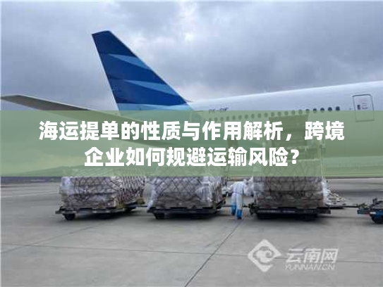 海运提单的性质与作用解析，跨境企业如何规避运输风险？