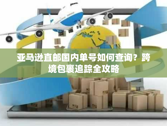 亚马逊直邮国内单号如何查询？跨境包裹追踪全攻略