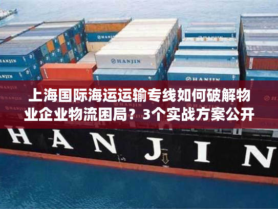 上海国际海运运输专线如何破解物业企业物流困局？3个实战方案公开