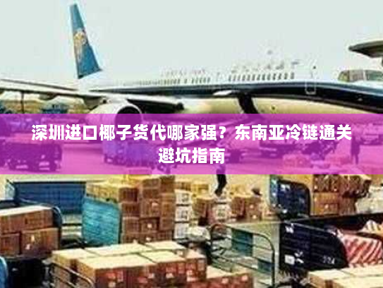 深圳进口椰子货代哪家强？东南亚冷链通关避坑指南