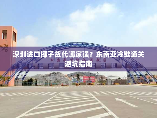 深圳进口椰子货代哪家强？东南亚冷链通关避坑指南