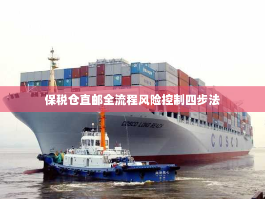 保税仓直邮全流程风险控制四步法 保税仓直邮全流程风险控制四步法