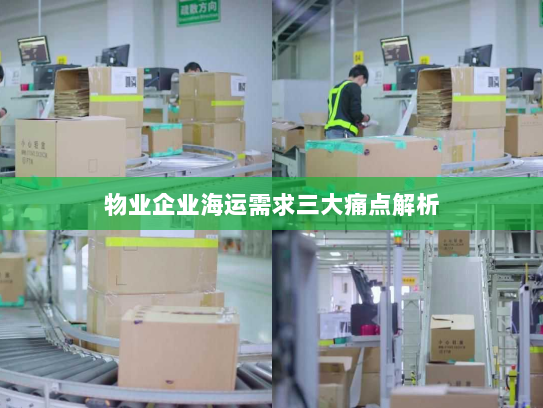 物业企业海运需求三大痛点解析 物业企业海运需求三大痛点解析