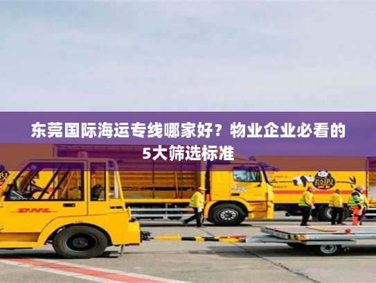 东莞国际海运专线哪家好？物业企业必看的5大筛选标准