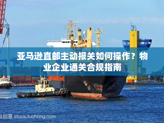 亚马逊直邮主动报关如何操作?物业企业通关合规指南 亚马逊直邮主动报关如何操作?物业企业通关合规指南