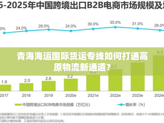 青海海运国际货运专线如何打通高原物流新通道？