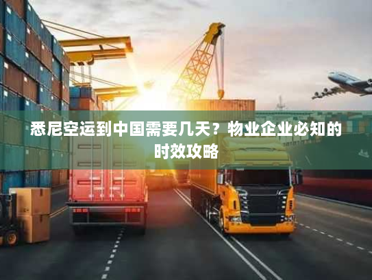 悉尼空运到中国需要几天?物业企业必知的时效攻略 悉尼空运到中国需要几天?物业企业必知的时效攻略