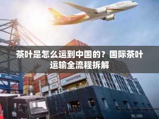 茶叶是怎么运到中国的？国际茶叶运输全流程拆解