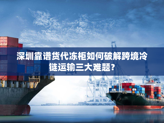 深圳靠谱货代冻柜如何破解跨境冷链运输三大难题? 深圳靠谱货代冻柜如何破解跨境冷链运输三大难题?