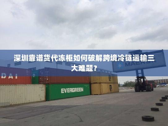 深圳靠谱货代冻柜如何破解跨境冷链运输三大难题? 深圳靠谱货代冻柜如何破解跨境冷链运输三大难题?