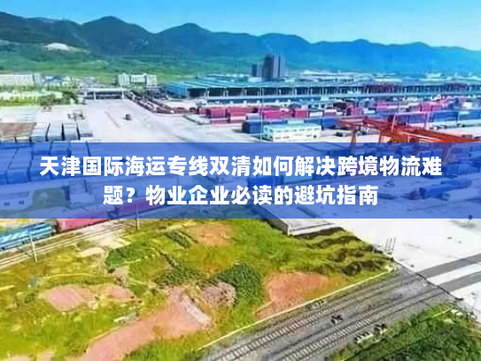 天津国际海运专线双清如何解决跨境物流难题？物业企业必读的避坑指南
