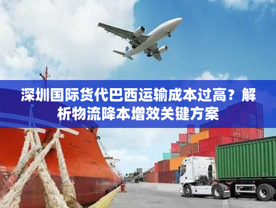 深圳国际货代巴西运输成本过高?解析物流降本增效关键方案 深圳国际货代巴西运输成本过高?解析物流降本增效关键方案