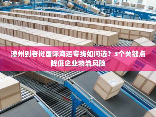 漳州到老挝国际海运专线如何选?3个关键点降低企业物流风险 漳州到老挝国际海运专线如何选?3个关键点降低企业物流风险