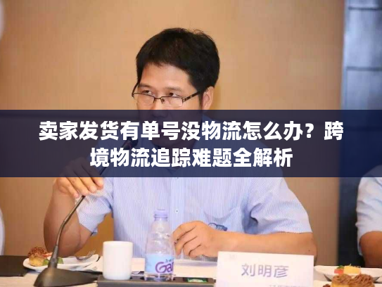 卖家发货有单号没物流怎么办？跨境物流追踪难题全解析