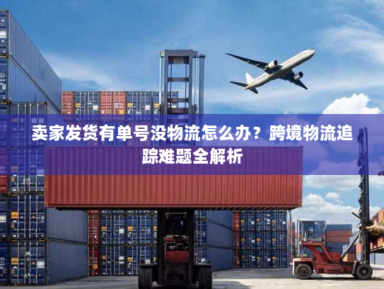 卖家发货有单号没物流怎么办?跨境物流追踪难题全解析 卖家发货有单号没物流怎么办?跨境物流追踪难题全解析