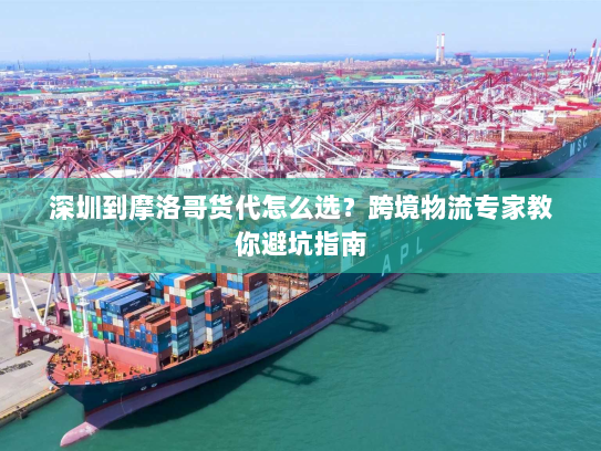 深圳到摩洛哥货代怎么选？跨境物流专家教你避坑指南