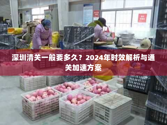 深圳清关一般要多久？2024年时效解析与通关加速方案