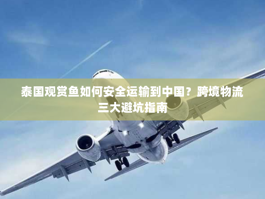 泰国观赏鱼如何安全运输到中国?跨境物流三大避坑指南 泰国观赏鱼如何安全运输到中国?跨境物流三大避坑指南