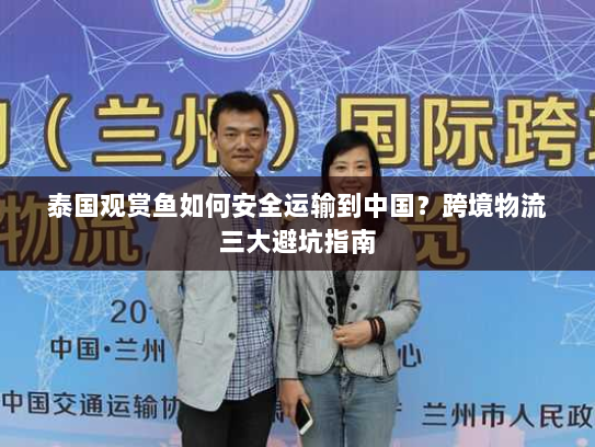 泰国观赏鱼如何安全运输到中国?跨境物流三大避坑指南 泰国观赏鱼如何安全运输到中国?跨境物流三大避坑指南