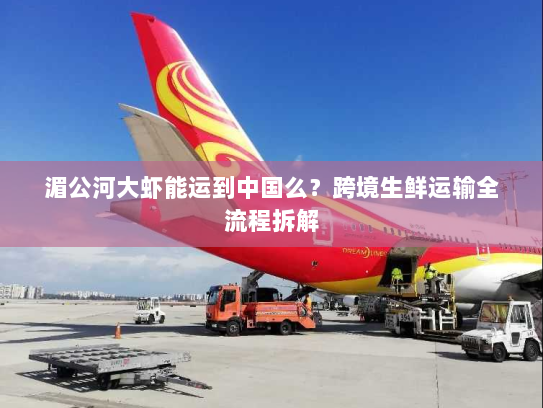 湄公河大虾能运到中国么？跨境生鲜运输全流程拆解