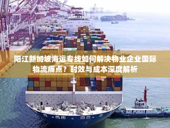 阳江新加坡海运专线如何解决物业企业国际物流痛点?时效与成本深度解析 阳江新加坡海运专线如何解决物业企业国际物流痛点?时效与成本深度解析