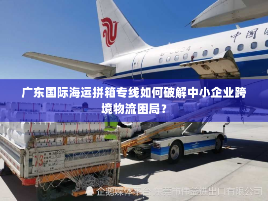 广东国际海运拼箱专线如何破解中小企业跨境物流困局？