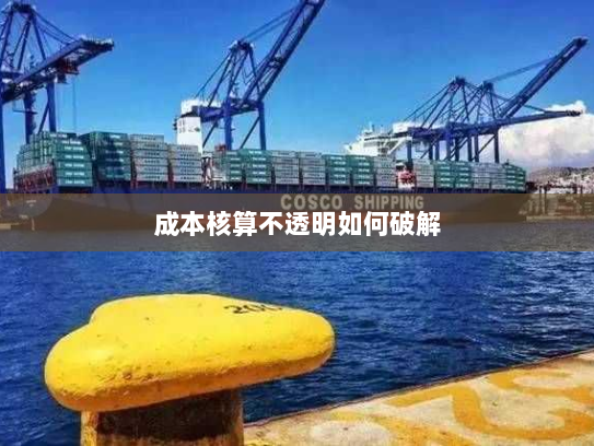 成本核算不透明如何破解