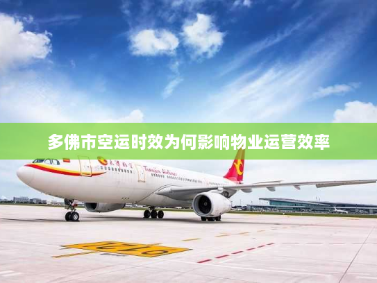 多佛市空运时效为何影响物业运营效率 多佛市空运时效为何影响物业运营效率