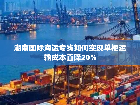 湖南国际海运专线如何实现单柜运输成本直降20%
