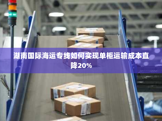 湖南国际海运专线如何实现单柜运输成本直降20% 湖南国际海运专线如何实现单柜运输成本直降20%