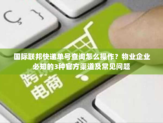 国际联邦快递单号查询怎么操作？物业企业必知的3种官方渠道及常见问题