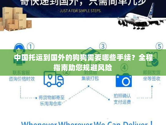 中国托运到国外的狗狗需要哪些手续?全程指南助您规避风险 中国托运到国外的狗狗需要哪些手续?全程指南助您规避风险