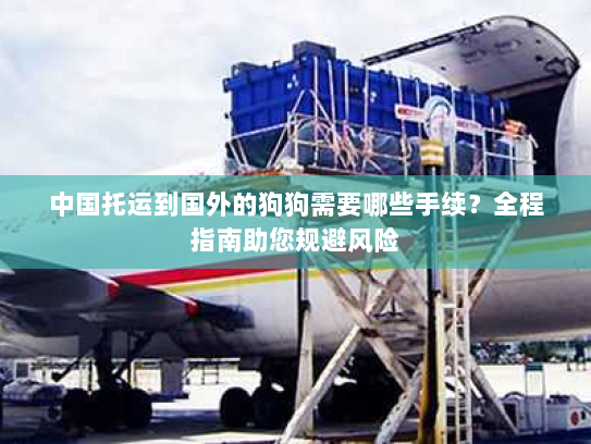 中国托运到国外的狗狗需要哪些手续?全程指南助您规避风险 中国托运到国外的狗狗需要哪些手续?全程指南助您规避风险