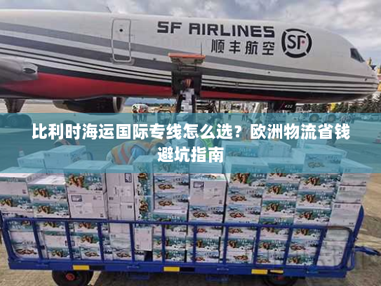 比利时海运国际专线怎么选？欧洲物流省钱避坑指南