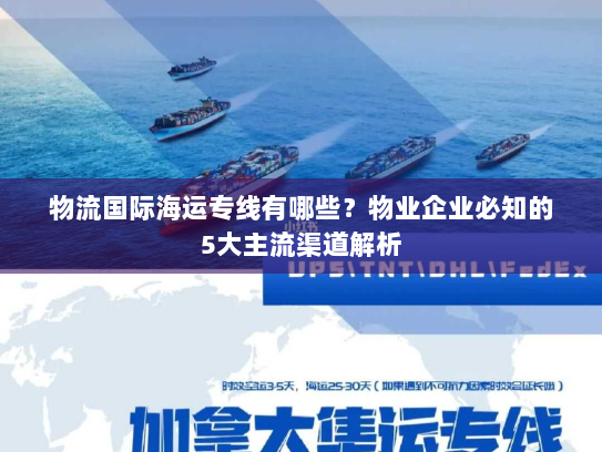 物流国际海运专线有哪些?物业企业必知的5大主流渠道解析 物流国际海运专线有哪些?物业企业必知的5大主流渠道解析