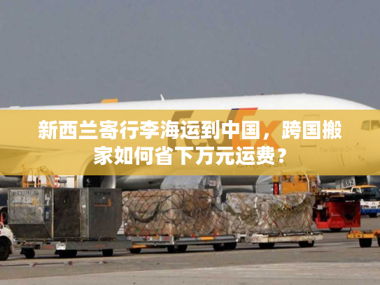 新西兰寄行李海运到中国，跨国搬家如何省下万元运费？