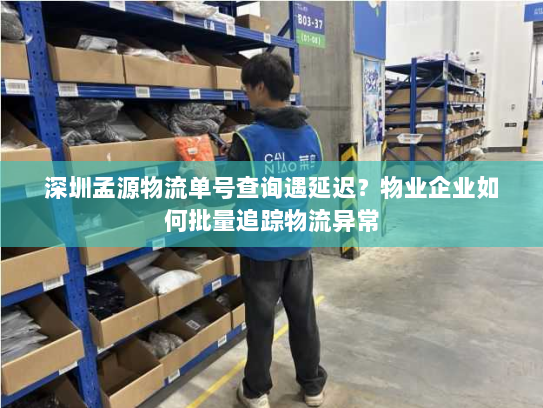 深圳孟源物流单号查询遇延迟?物业企业如何批量追踪物流异常 深圳孟源物流单号查询遇延迟?物业企业如何批量追踪物流异常
