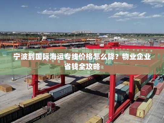 宁波到国际海运专线价格怎么降？物业企业省钱全攻略