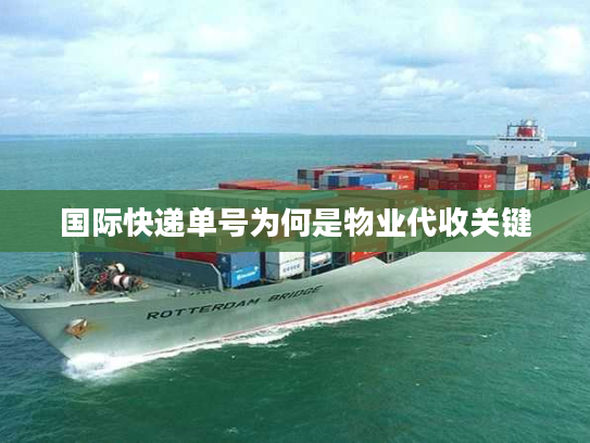 国际快递单号为何是物业代收关键 国际快递单号为何是物业代收关键