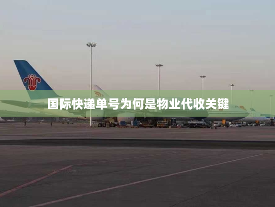 国际快递单号为何是物业代收关键 国际快递单号为何是物业代收关键