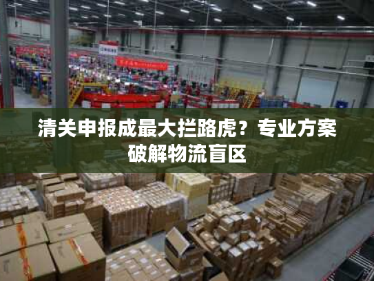 清关申报成最大拦路虎？专业方案破解物流盲区