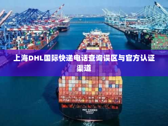 上海DHL国际快递电话查询误区与官方认证渠道 上海DHL国际快递电话查询误区与官方认证渠道